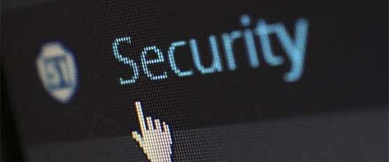 Tesi: Más seguridad para sus datos